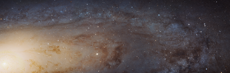 A portion of Andromeda. (Credits: NASA, ESA, J. Dalcanton, B.F. Williams, and L.C. Johnson (University of Washington), the PHAT team, and R. Gendler)